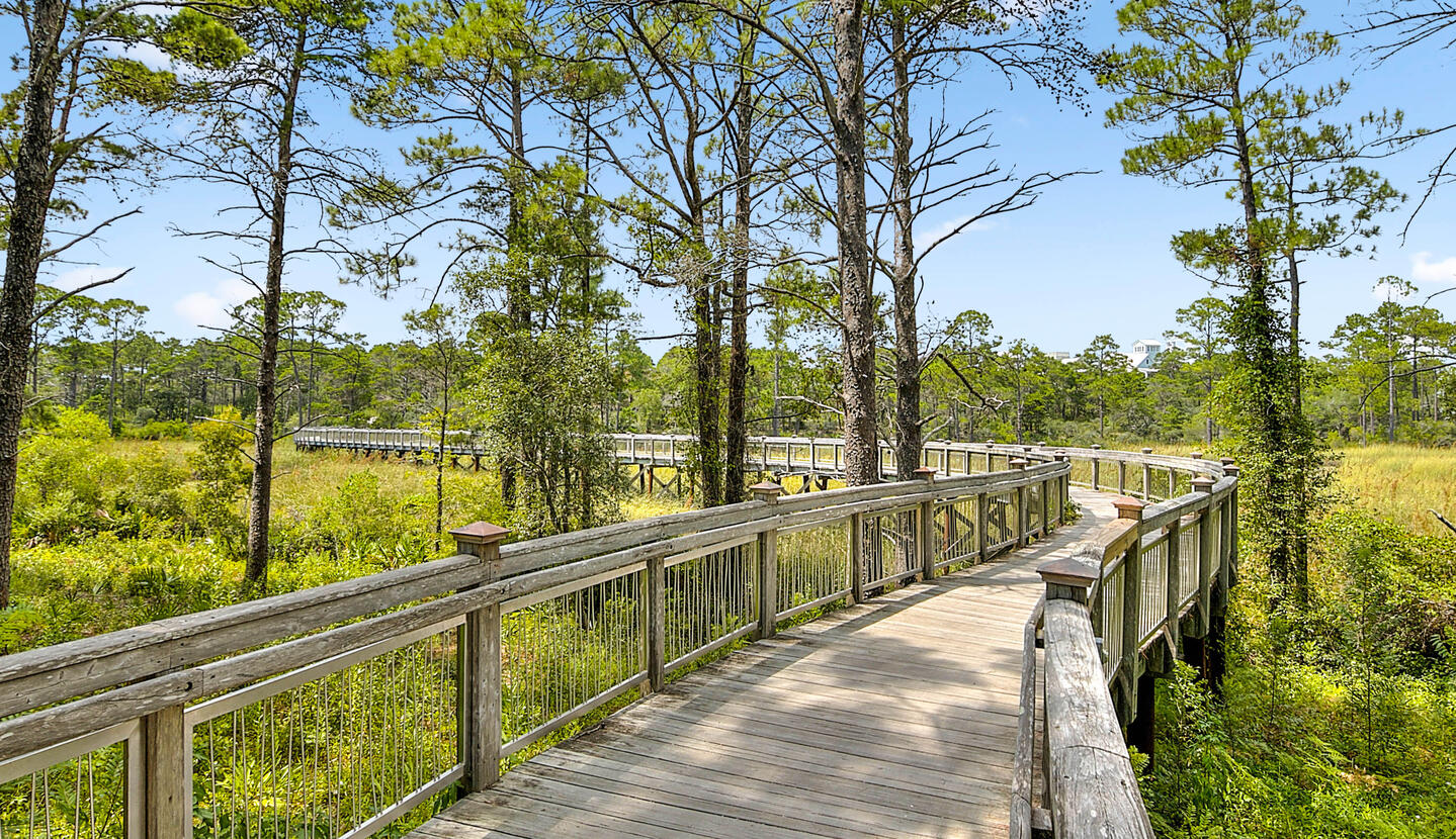 Watercolor nature walks 30A